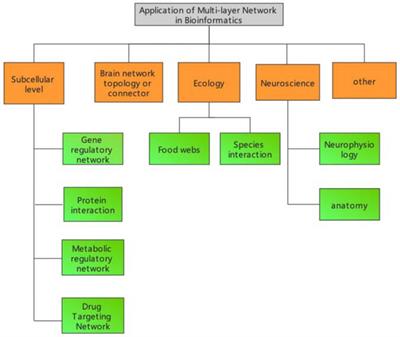 Application of Multilayer Network Models in Bioinformatics